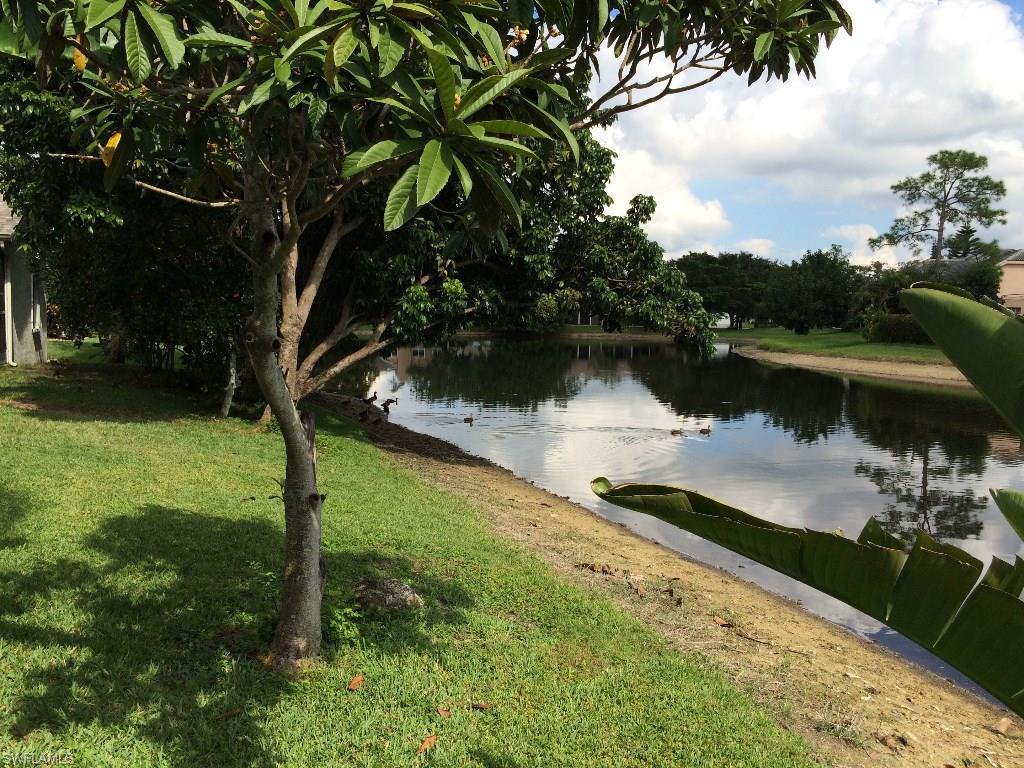 ROOKERY - Residential