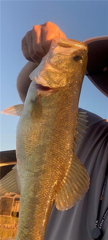 VISTA WILDBLUE - Residential