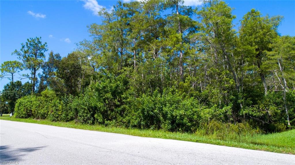 SAN CARLOS ESTATES - Land