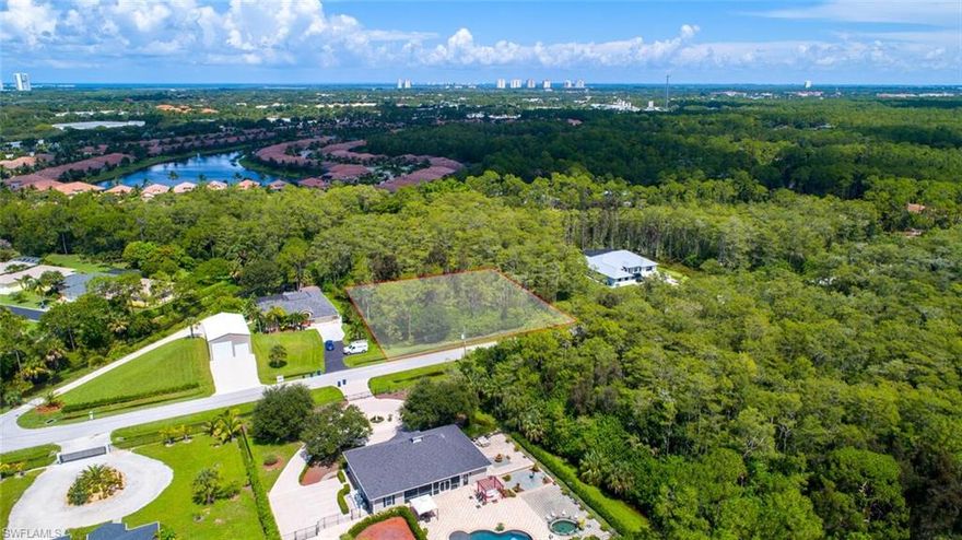 Great location in the highly sought San Carlos Estates with easy access to US-41, close to world class shopping and dining as well as the glorious white sand beaches that made SW Florida famous. With Western exposure, you can build the house and pool of your dreams to take advantage of the fabulous sunsets. The Informal Wetland Report shows that the lot is 100% wetlands, mitigation will be required and the lot is priced accordingly.