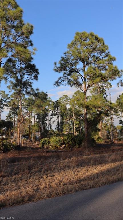 NOT APPLICABLE - Land