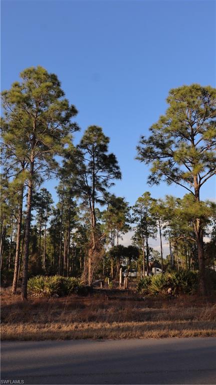 NOT APPLICABLE - Land