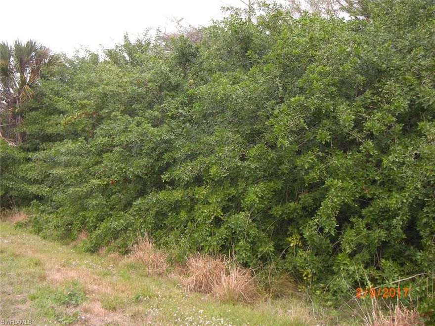 Vacant Lot in GGE with mature trees, good location on a quiet street.