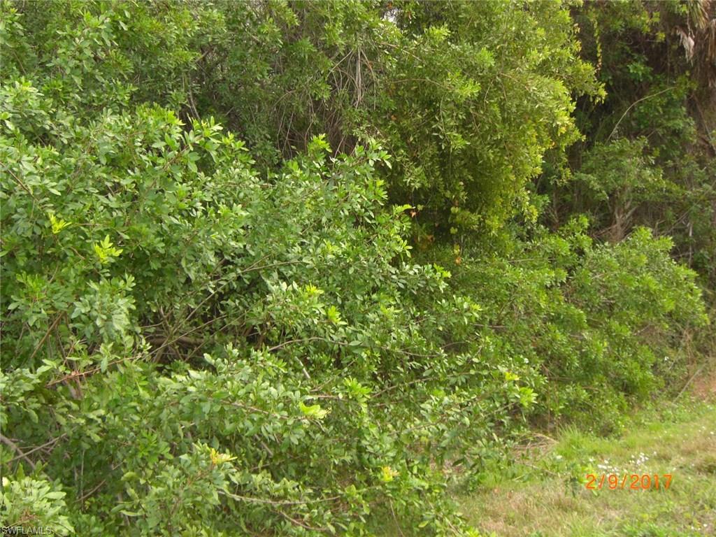 GOLDEN GATE ESTATES - Land