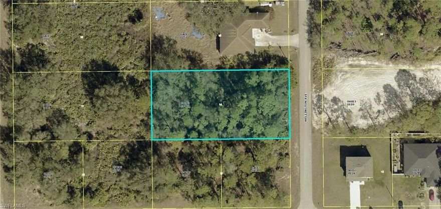 Residential HALF ACRE building lot on a nicely paved street. Excellent location just minutes to I-7, FT Myers and SWFL International Airport.  PID: 14-44-27-L3-04013.0140