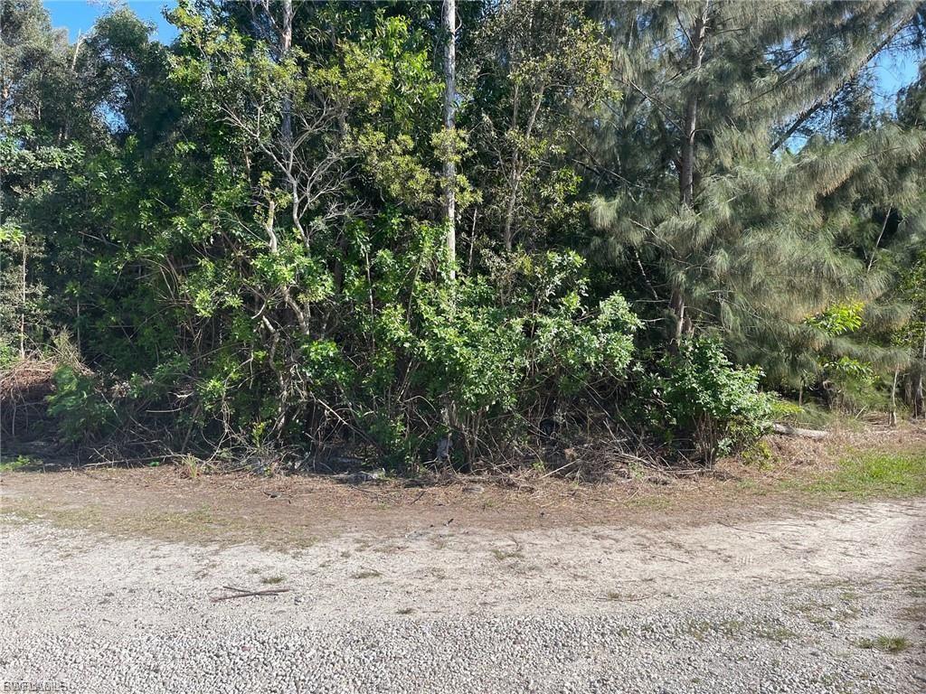 FLORIMOND MANOR - Land