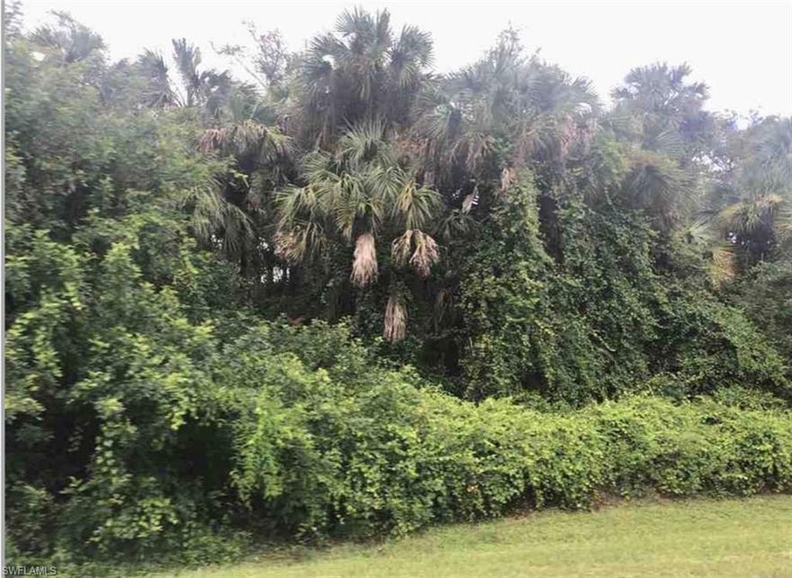 This oversized wooded lot offers lots of privacy as it is located at the end of the street and adjacent to a canal. An environmental assessment (see attachment) reflects approximately 4.5 upland acres with no indication of protected species on site.  Site contains excess fill material along canal frontage from excavating GG canal.  All information deemed reliable but should be confirmed.