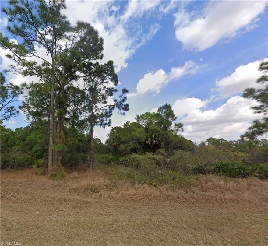 Build your dream home on this residential lot located on a paved road in desirable Lehigh Acres. Enjoy a peaceful setting with easy access to SR-82, I-75, shopping, dining, and more. Great opportunity for homeowners or investors—priced to sell!