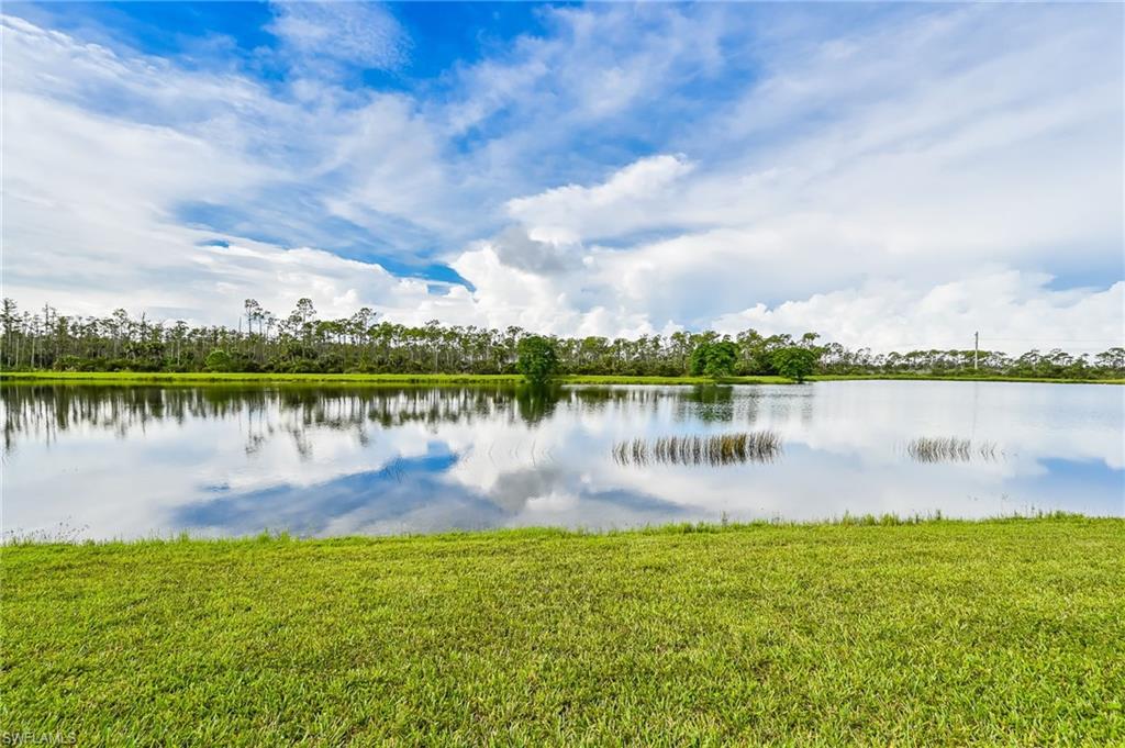 ALBERI ACQUA - Residential