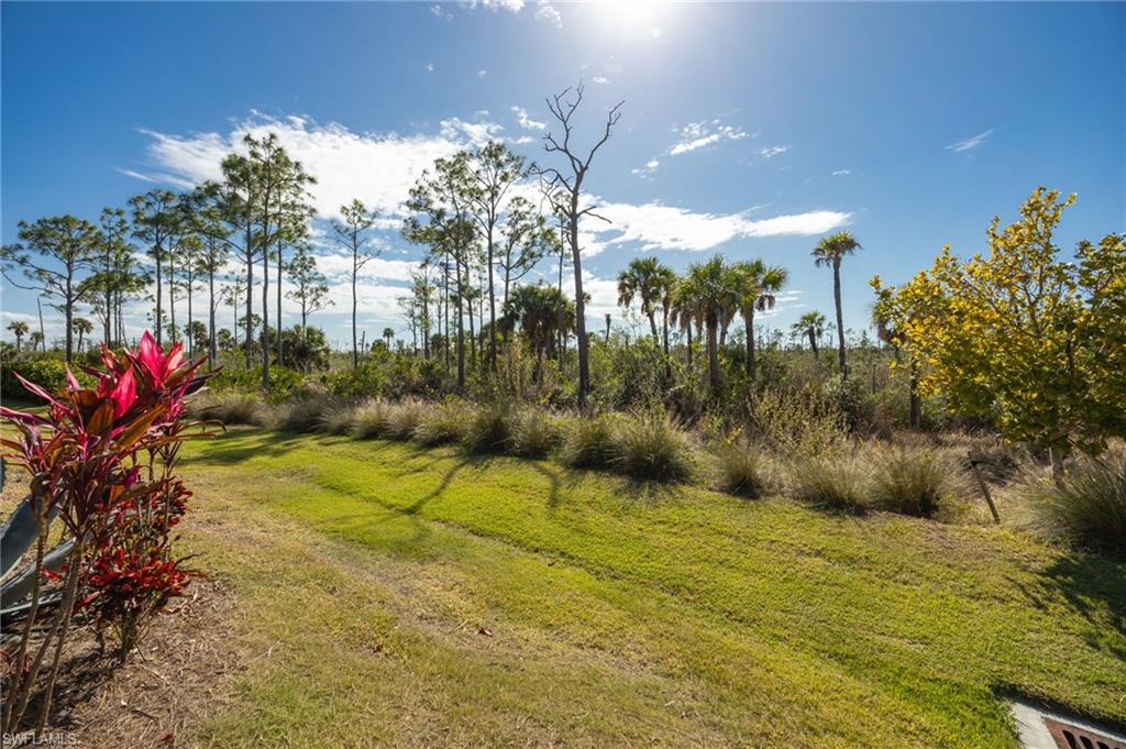 ISLES OF COLLIER PRESERVE - Residential