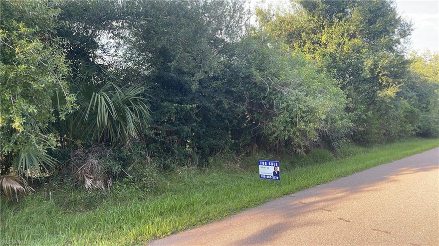 Beautifull lot located in desirable area of Port Charlotte. It is close to the I-75, restaurants, shopping centers and all recreational areas and beaches. Don't miss the opportunity to build your dream home in this quite community.