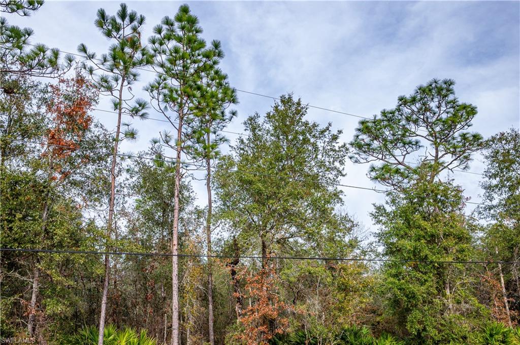 NOT APPLICABLE - Land