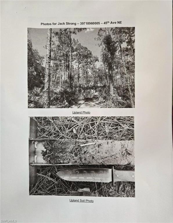 GOLDEN GATE ESTATES - Land