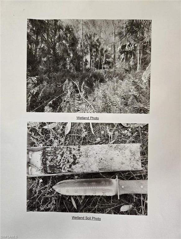 GOLDEN GATE ESTATES - Land