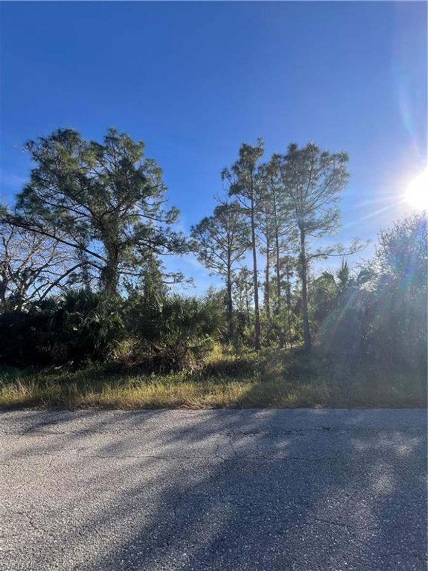 EXPERIENCE the potential of this fantastic corner lot in the growing community of Lehigh Acres! This 0.25 acre lot is perfect for someone looking to build their dream home or for an investor wanting to take advantage of the areas growth! It’s located in a great spot close to schools, restaurants, and shopping making it convenient while still offering a peaceful neighborhood!