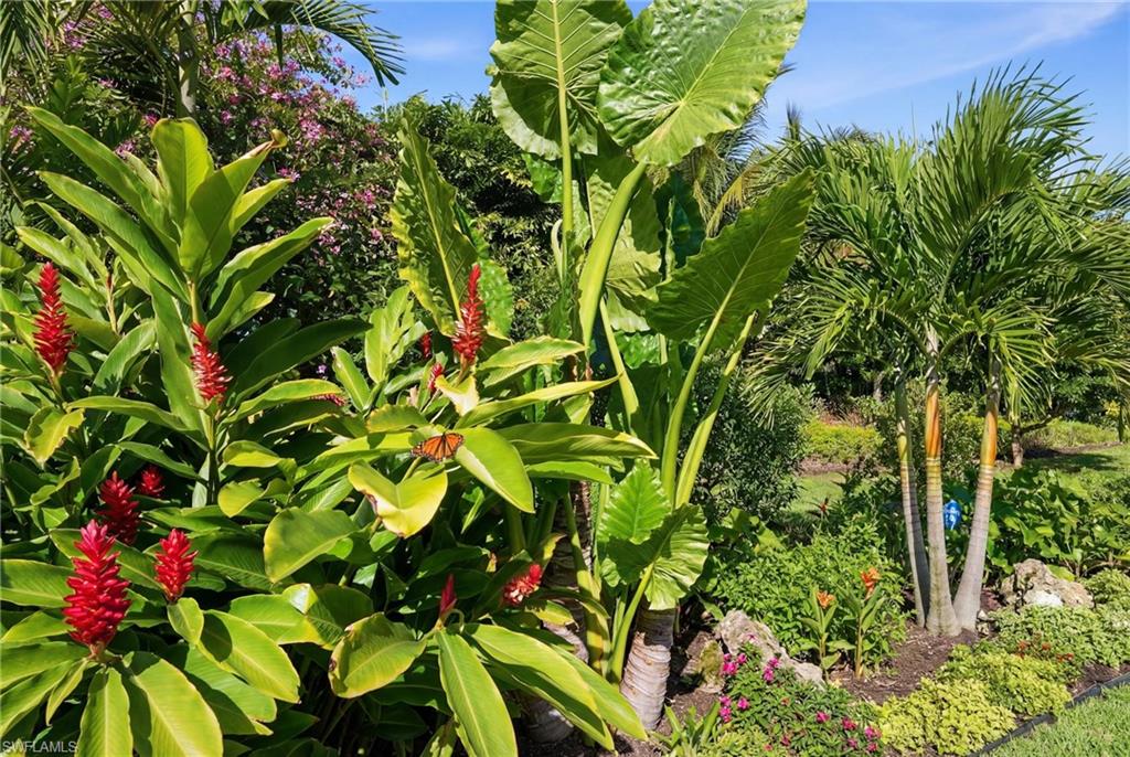 VALENCIA TRAILS - Residential