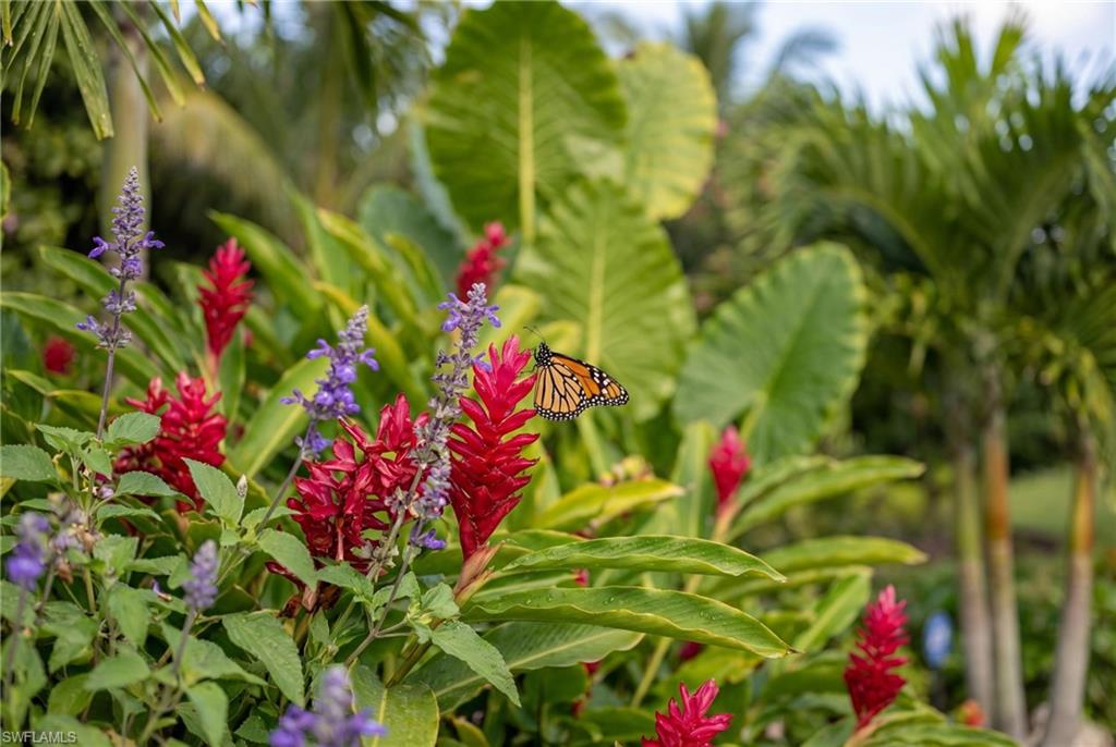 VALENCIA TRAILS - Residential