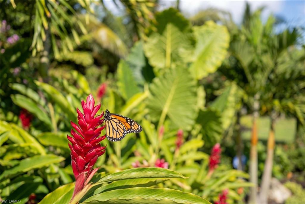 VALENCIA TRAILS - Residential