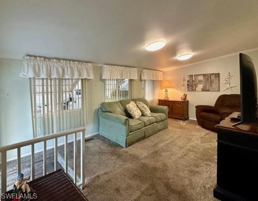 IMPERIAL WILDERNESS - Residential