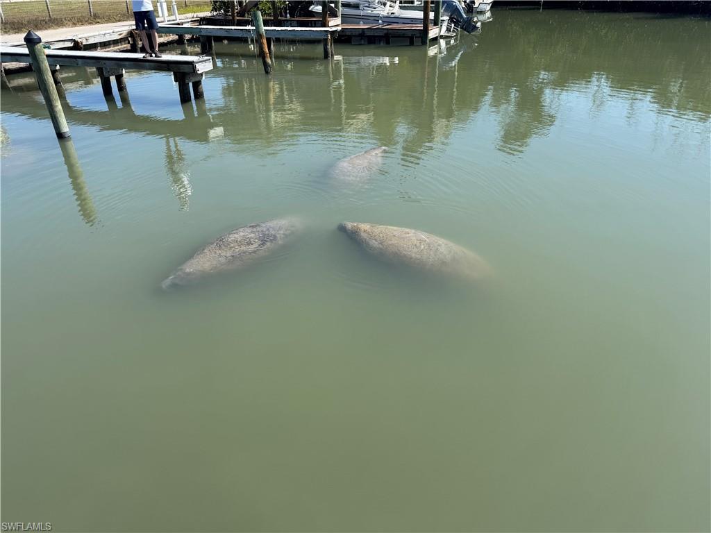 NORTH CAPTIVA DUNES - Residential
