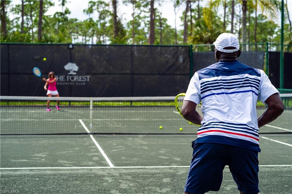 THE FOREST - Residential