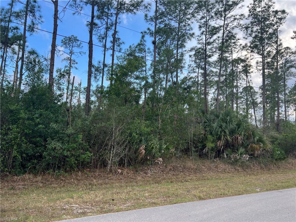 GOLDEN GATE ESTATES - Land