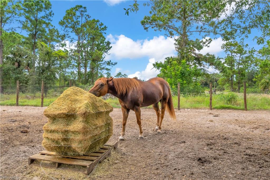 WHEELERS SUBD - Residential