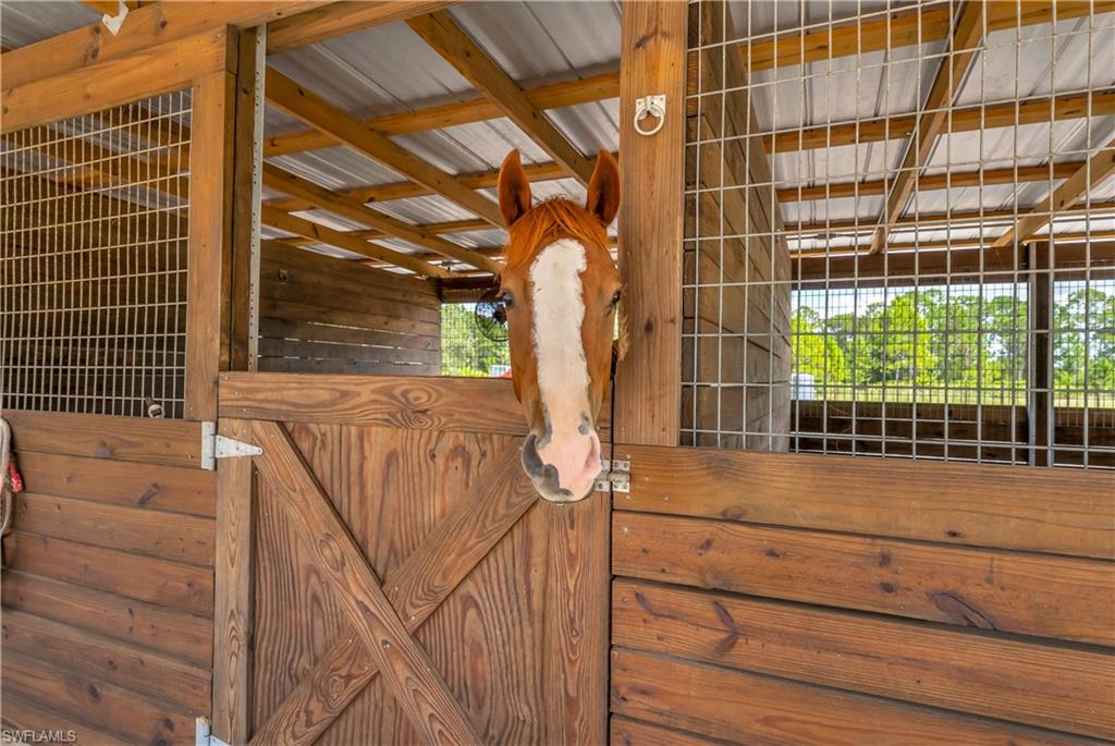 WHEELERS SUBD - Residential