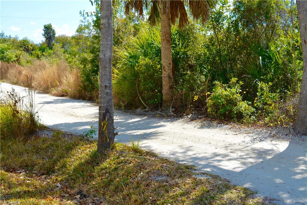 HARBOR HEIGHTS - Land