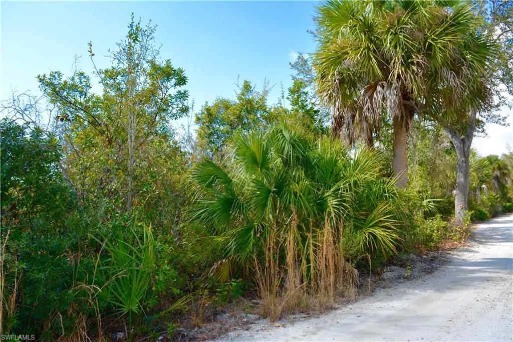 HARBOR HEIGHTS - Land