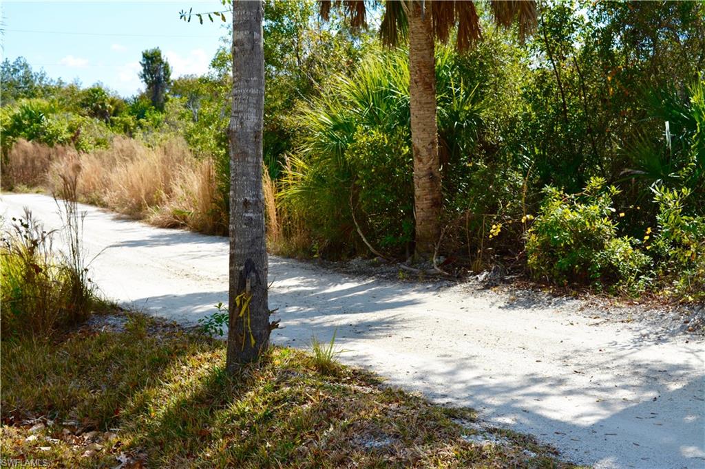 HARBOR HEIGHTS - Land