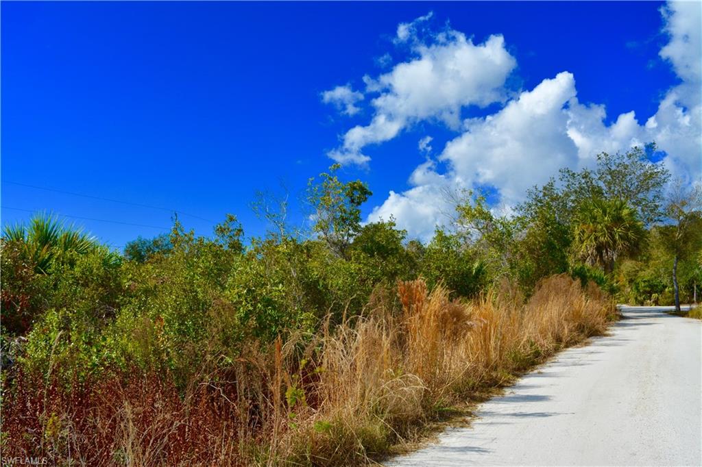 HARBOR HEIGHTS - Land