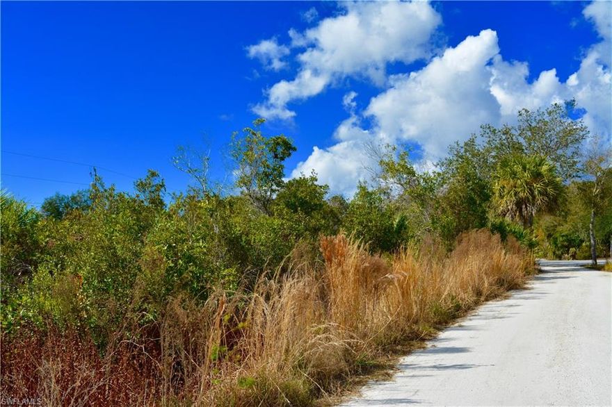 Situated at 27195 Lowry Avenue, Punta Gorda, FL 33983, build your Southwest Florida dream home on this private vacant parcel located in the desirable Harbor Heights community. Situated on a quiet street and surrounded by attractive new construction, this homesite offers both peaceful surroundings and exciting growth potential.  With no HOA and no deed restrictions, you have the flexibility to build when you’re ready. Conveniently located just minutes from I-75, shopping, dining, golf, and medical facilities. Enjoy easy access to Harbor Heights Park’s public boat ramp with entry to the Peace River and out to Charlotte Harbor, perfect for boating and fishing enthusiasts.  Secure your piece of Punta Gorda while the area continues to grow and new homes rise all around. An ideal opportunity for a primary residence, seasonal retreat, or investment build.  Homes nearby have septic tanks and public water. INFORMATION IS DEEMED RELIABLE BUT NOT GUARANTEED…TO BE VERIFIED BY THE BUYER AND/OR BUYER'S AGENT, INCLUDING UTILITIES.