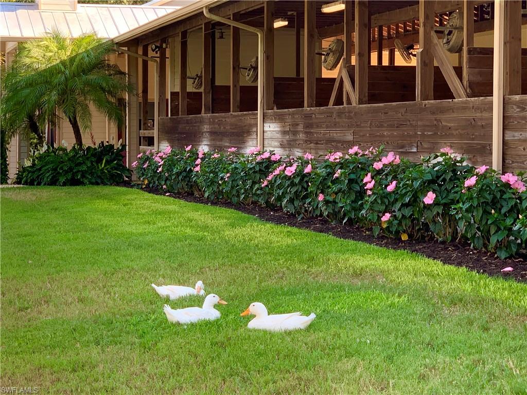 BUCKINGHAM - Residential