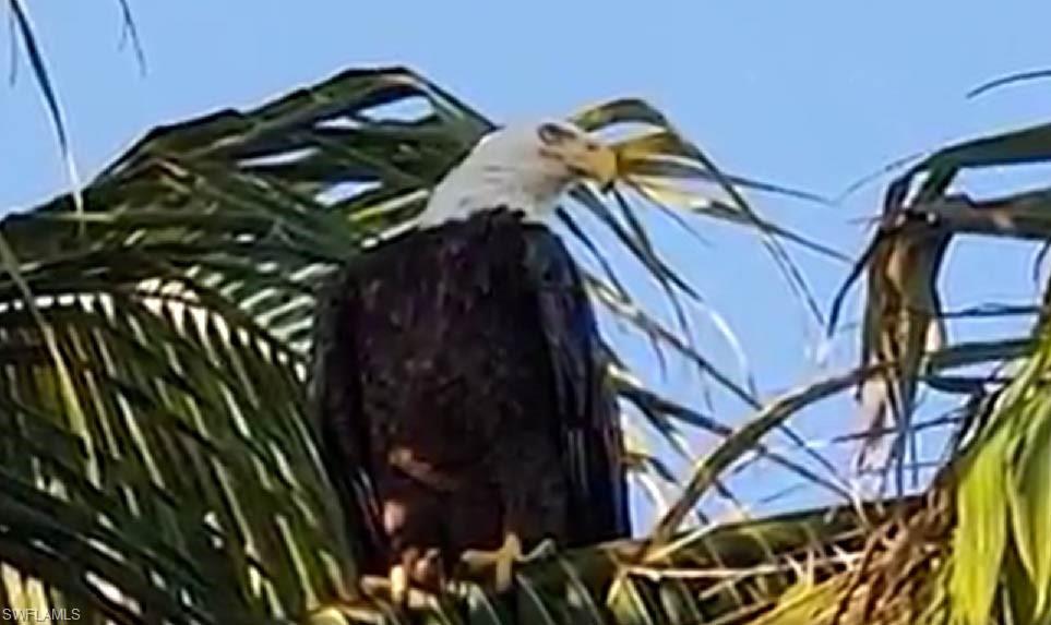 REFLECTION ISLES - Residential