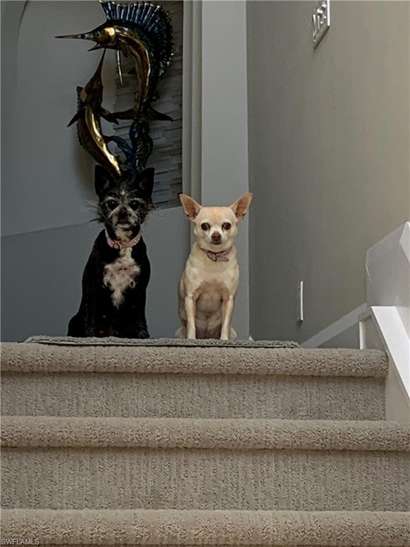 COLONADE - Residential