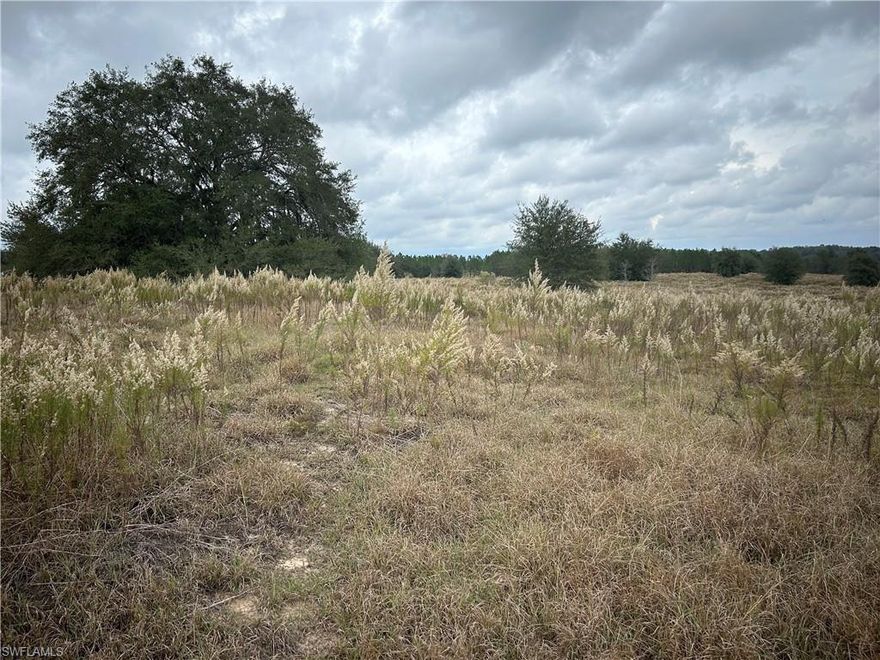 EXCELLENT LOCATION!!! GROWING AREA IN INVERNESS 0.5 MILES FROM: LOWE'S, RESTAURANTS, BANKS, CINEMA, SUPERMARKET AND ETC...  EACH LOT $9,500.00 
GREAT OPPORTUNITY 3 LOTS FOR SALE TOGETHER NO LESS THAN  $28,000.00  BUILD YOUR DREAM HOUSE AND ENJOY THE SUNSHINE ESTATE.
168 + 176 + 184 N AMBER MEADOWS TER , INVERNESS, FL.
NOT A FLOOD AREA!