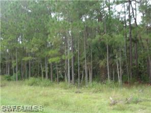 GOLDEN GATE ESTATES - Land