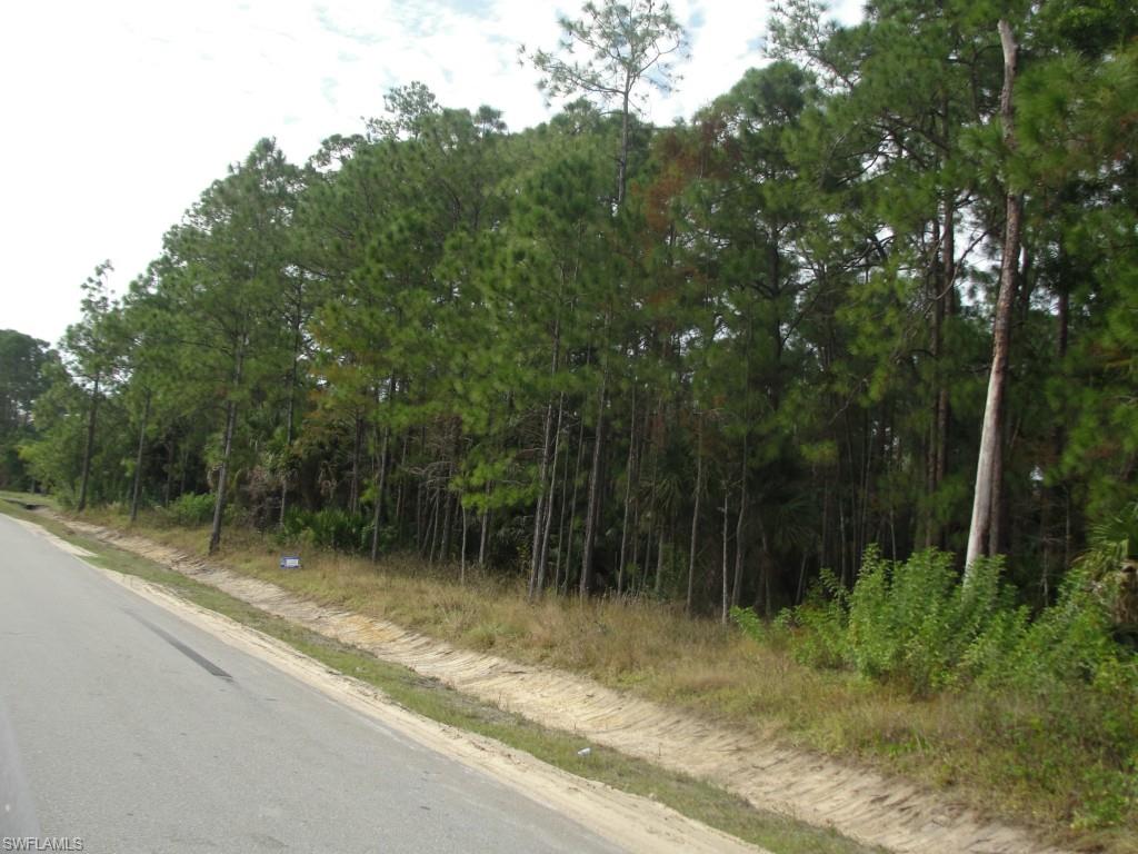 GOLDEN GATE ESTATES - Land