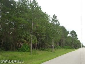 GOLDEN GATE ESTATES - Land