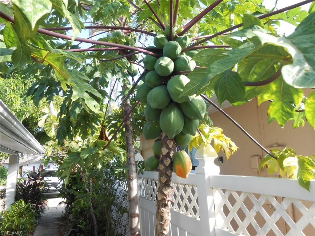 NAPLES PARK - Residential