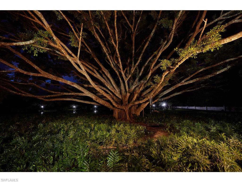 LIVINGSTON WOODS - Residential