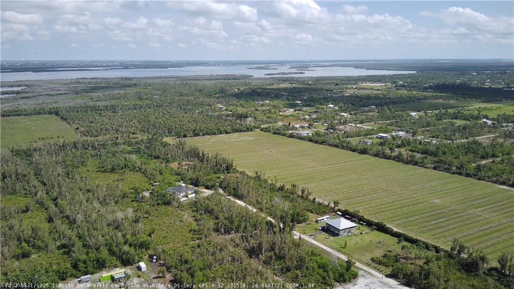 KREAMERS AVOCADO SUBD - Land