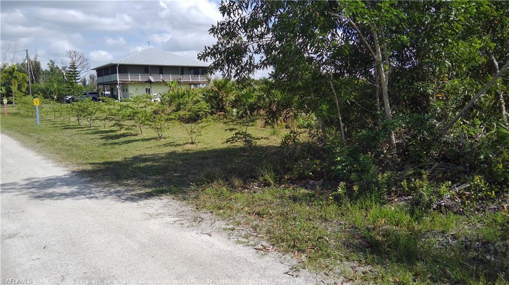 KREAMERS AVOCADO SUBD - Land