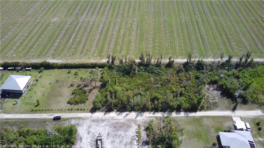 KREAMERS AVOCADO SUBD - Land