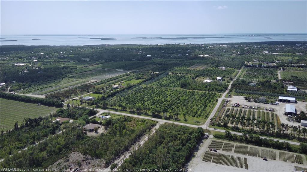 KREAMERS AVOCADO SUBD - Land