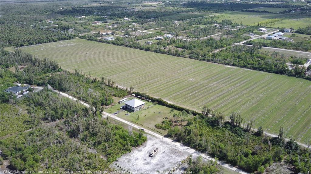 KREAMERS AVOCADO SUBD - Land