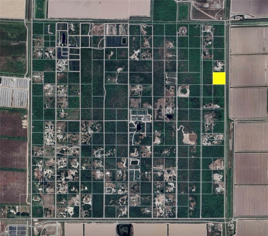 0000 Tomato RD