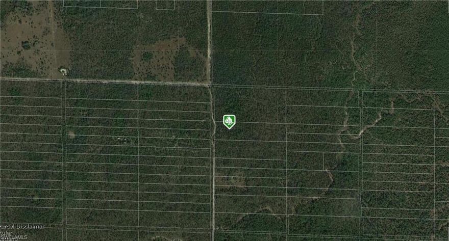 dirt access road, 10 acres agricultural land, roam your own land, farming, live stocks, dirt bike and big trucks, build your dream, very potentials, looks dry, as-is, previous deal failed due to no access (title has to accept that), seller pays title no exception