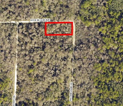 33464 Packingham DR WEBSTER FL 33597